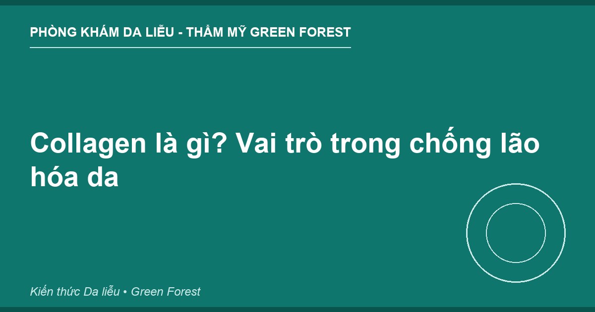 Collagen là gì? Vai trò trong chống lão hóa da